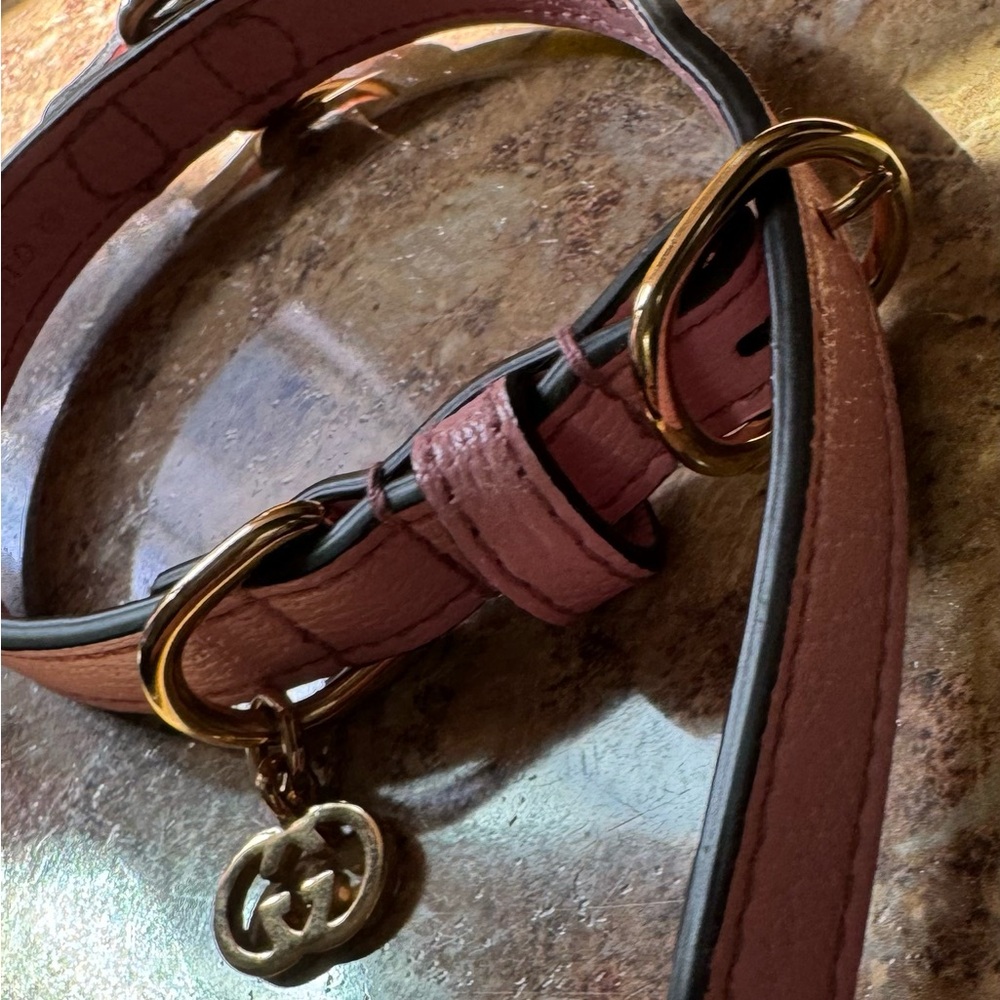Gucci xs pet collar in pink
